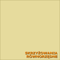 skrzy�owania r�wnorz�dne