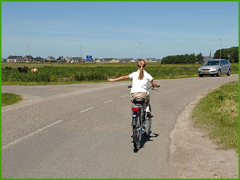 sygnalizowanie zamiaru skrętu w lewo