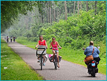 rowerzyści na drodze