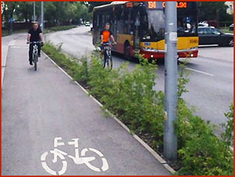 rowerzysta na jezdni